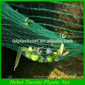 Verde 100% Nuevo HDPE Material Olive Harvesting Net, 50-200g / m2, Fábrica